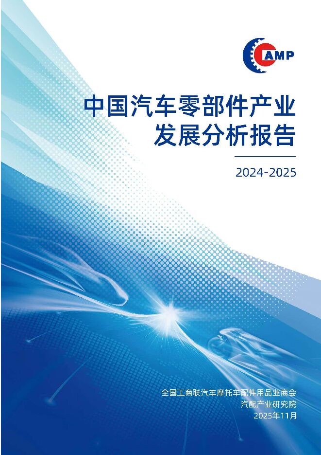 中国汽车零部件产业发展分析报告.pdf