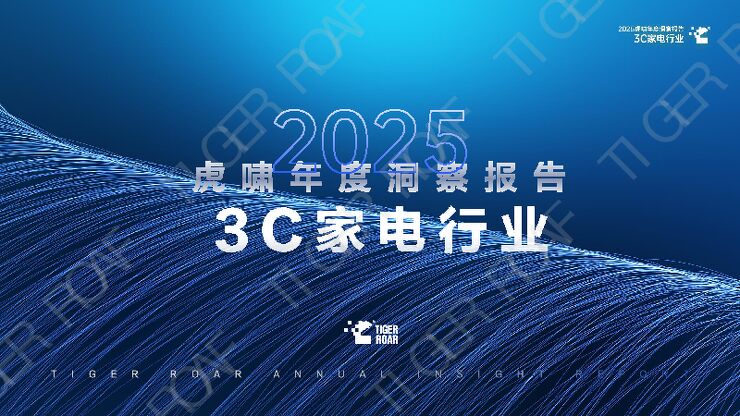 3C家电行业：2025虎啸年度洞察报告.pdf
