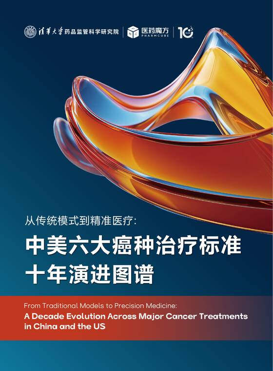 2025年从传统模式到精准医疗：中美六大癌症治疗标准十年演进图谱-医药魔方-202512.pdf