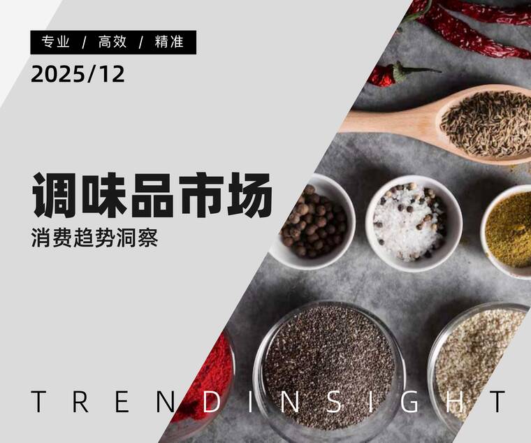 2025年调味品市场消费趋势洞察-炼丹炉-202512.pdf