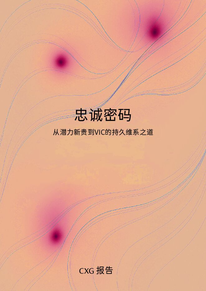 2025忠诚密码：从潜力新贵到VIC的持久维系之道研究报告.pdf