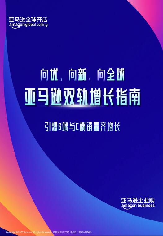 2025年亚马逊双轨增长指南-亚马逊全球开店-202512.pdf