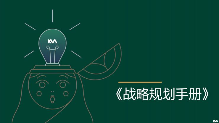 品牌战略规划手册.pdf 品牌战略规划手册.pdf