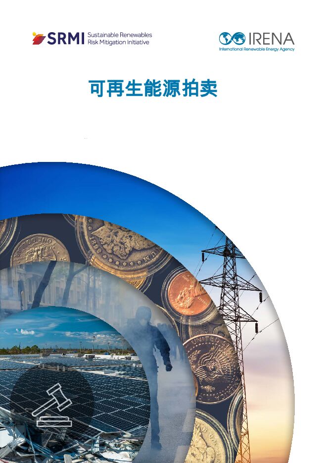 可再生能源拍卖.pdf