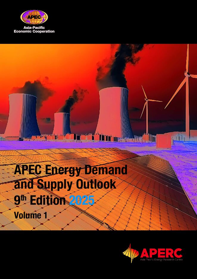 第九版APEC能源需求与供应展望报告.pdf