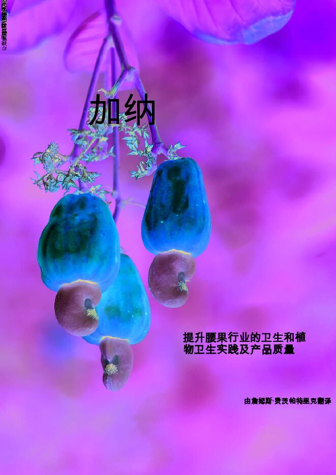 提升腰果行业的卫生和植物卫生实践及产品质量.pdf 提升腰果行业的卫生和植物卫生实践及产品质量.pdf