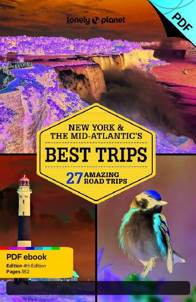 纽约和大西洋中部的最佳旅行.pdf
