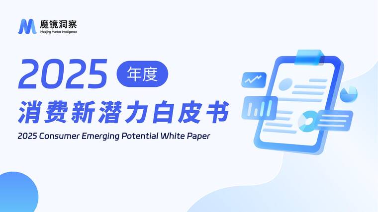2025年消费新潜力白皮书-魔镜洞察-202602.pdf