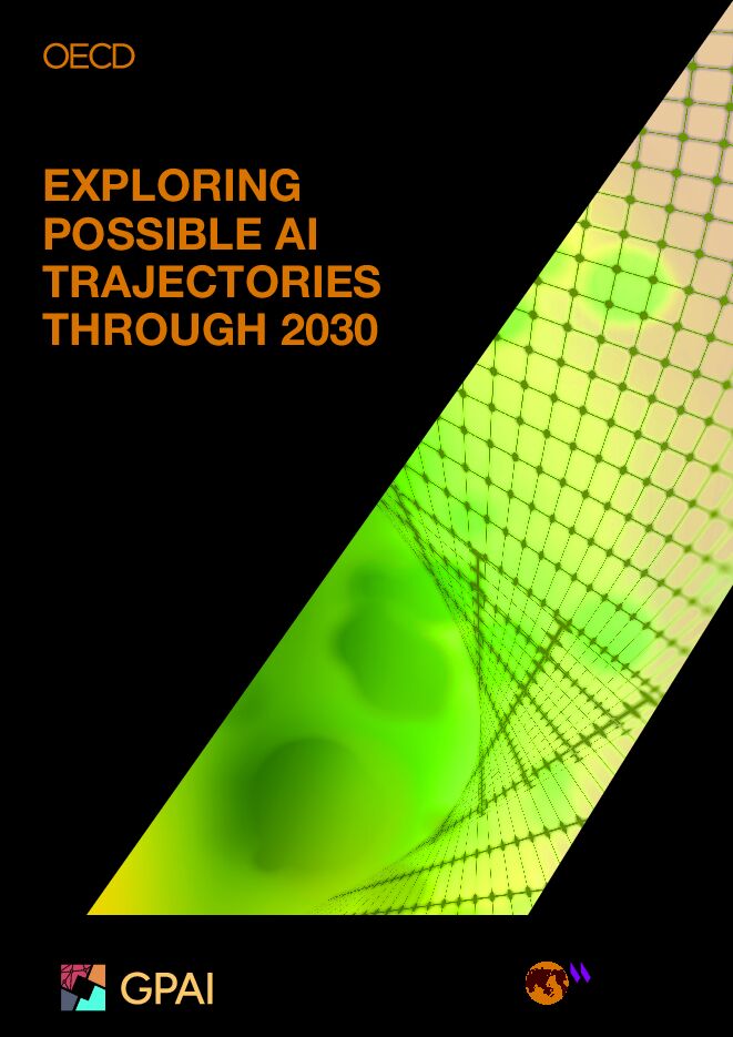 2030年前瞻：人工智能（AI）发展的多重轨迹研究报告.pdf