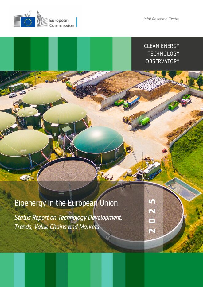 2025年欧盟生物能源：技术发展、趋势、价值链和市场现状报告.pdf
