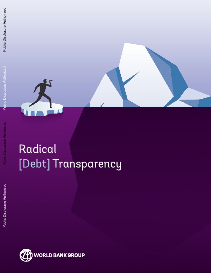 打破隐性债务：全球债务透明度新框架.pdf