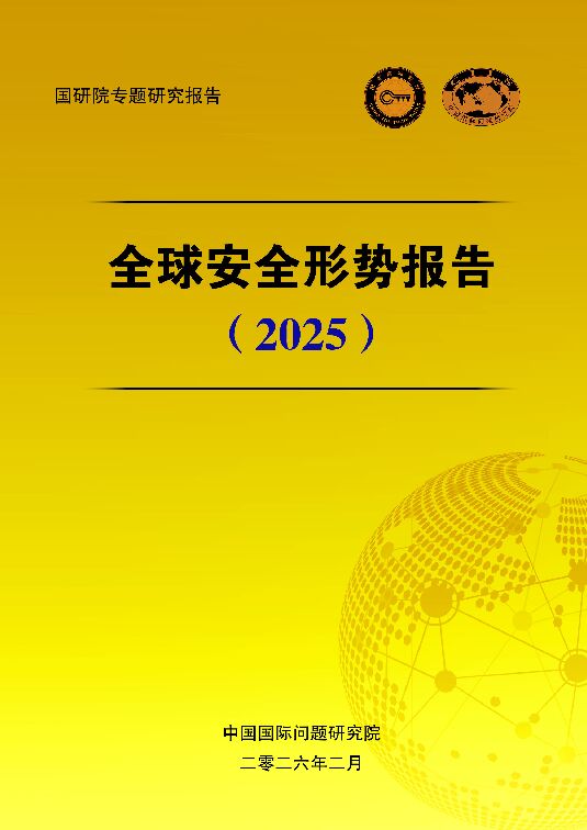 全球安全形势报告（2025）.pdf
