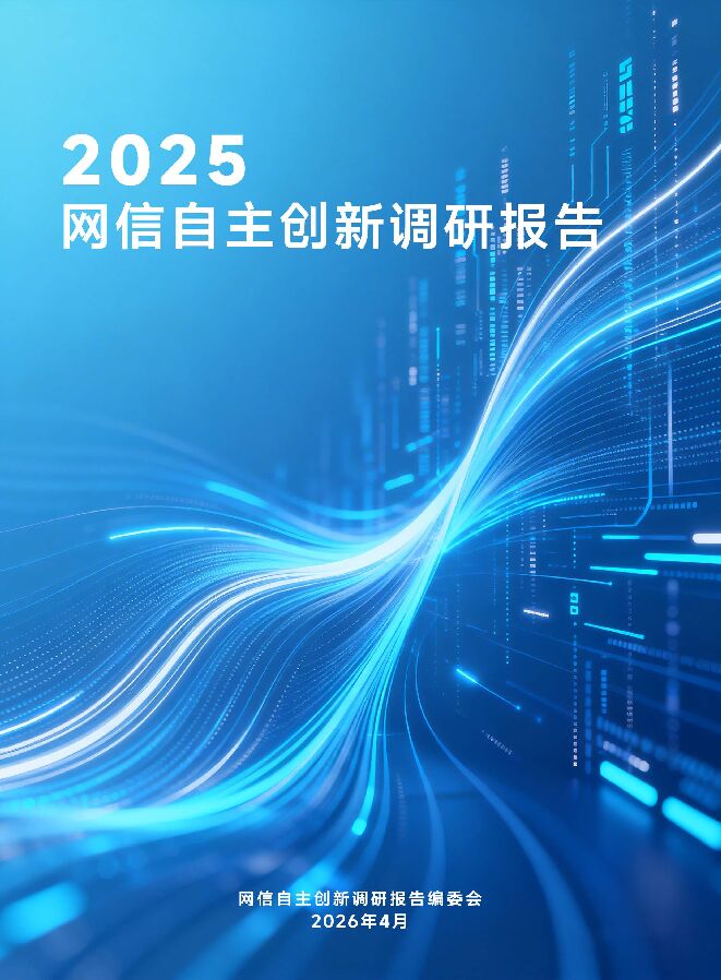 2025年网信自主创新调研报告.pdf