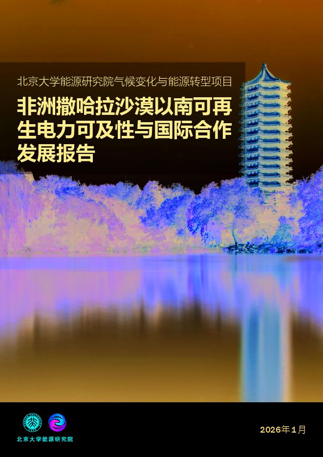 2026非洲撒哈拉沙漠以南可再生电力可及性与国际合作发展报告.pdf