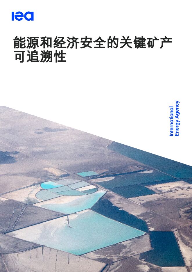 能源和经济安全的关键矿产可追溯性.pdf