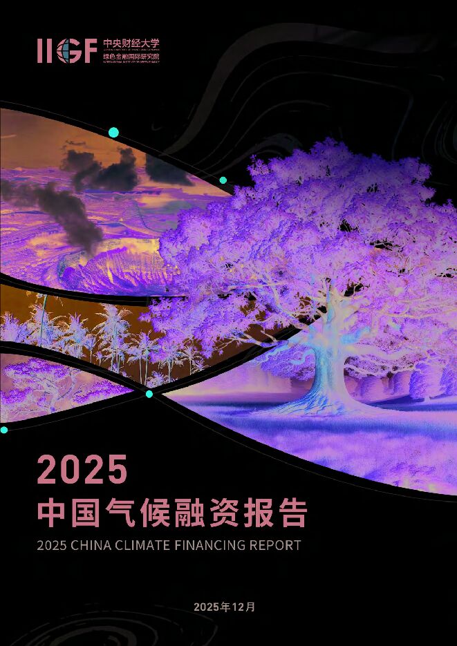 2025中国气候融资报告.pdf