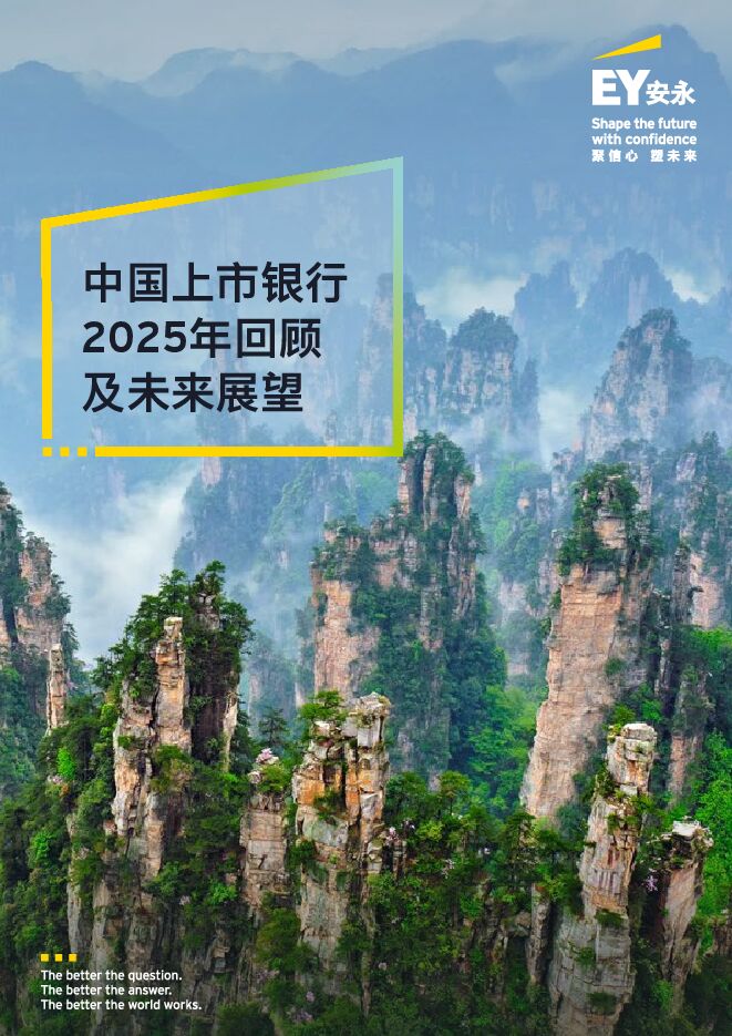 中国上市银行2025年回顾与未来展望报告.pdf
