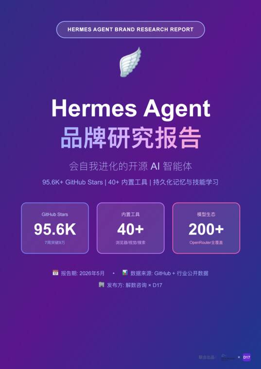 Hermes Agent品牌研究报告-解数咨询xD17-202605.pdf