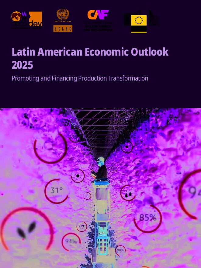 2025年拉丁美洲经济:推动与融资生产转型.pdf 2025年拉丁美洲经济:推动与融资生产转型.pdf