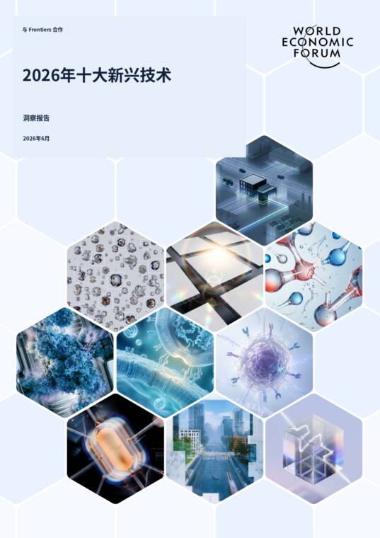 2026年十大新兴技术报告(译文)-世界经济论坛-202606.pdf 2026年十大新兴技术报告(译文)-世界经济论坛-202606.pdf
