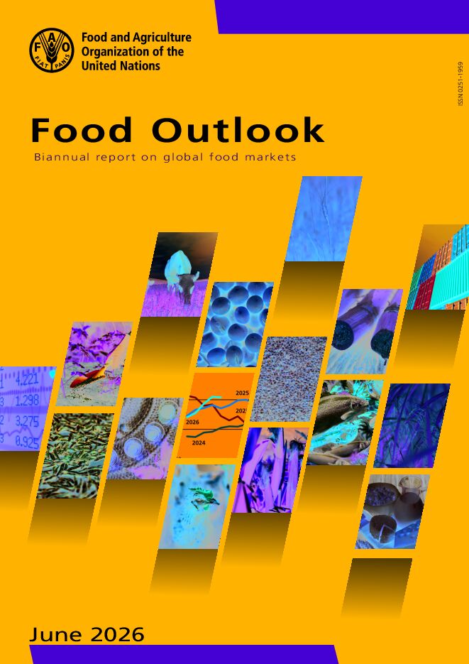 2026年全球粮食市场展望报告.pdf 2026年全球粮食市场展望报告.pdf