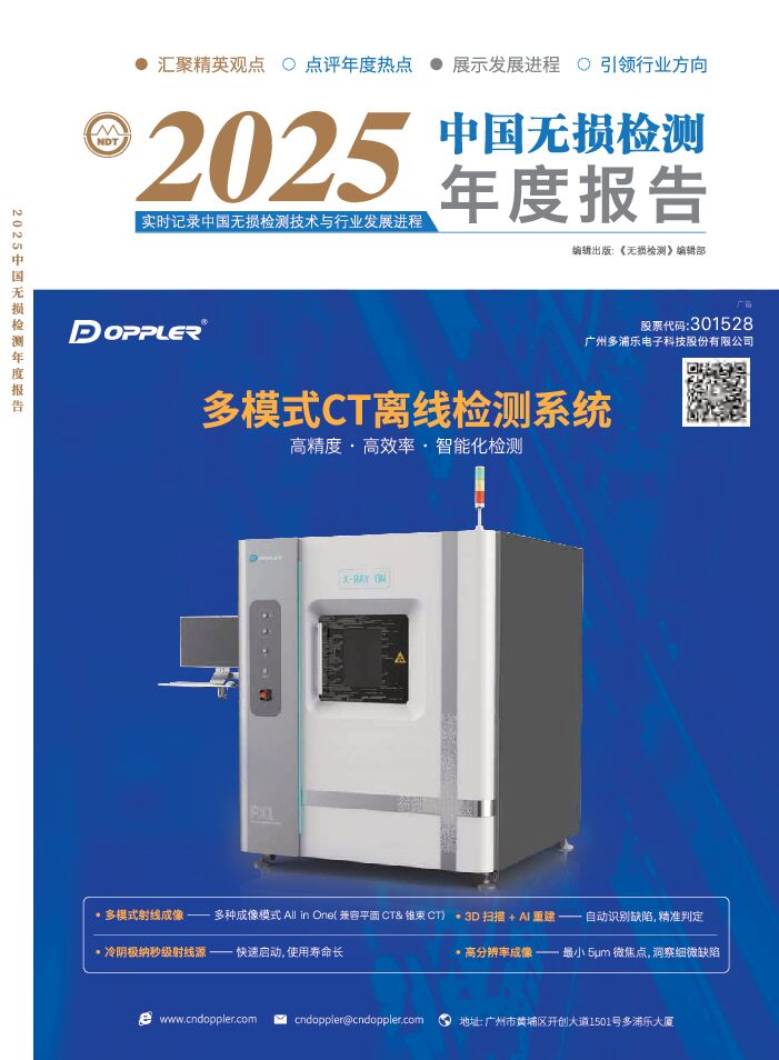 2025年无损检测年度报告.pdf