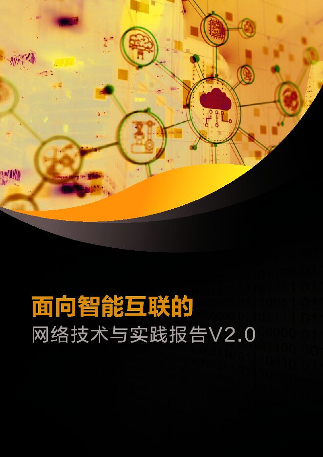 面向智能互联的网络技术与实践报告V2.0.pdf 面向智能互联的网络技术与实践报告V2.0.pdf