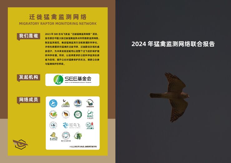 2024年猛禽监测网络联合报告.pdf 2024年猛禽监测网络联合报告.pdf