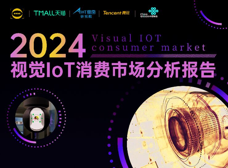 2024视觉IoT消费市场分析报告.pdf