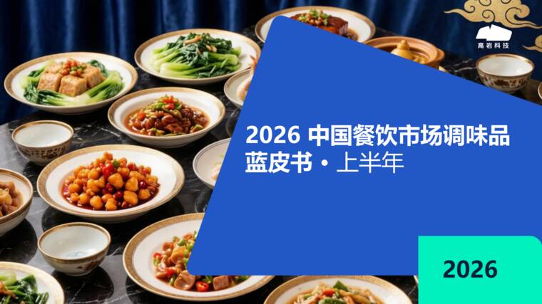2026中国餐饮市场调味品蓝皮书上半年-高岩科技-202608.pdf 2026中国餐饮市场调味品蓝皮书上半年-高岩科技-202608.pdf