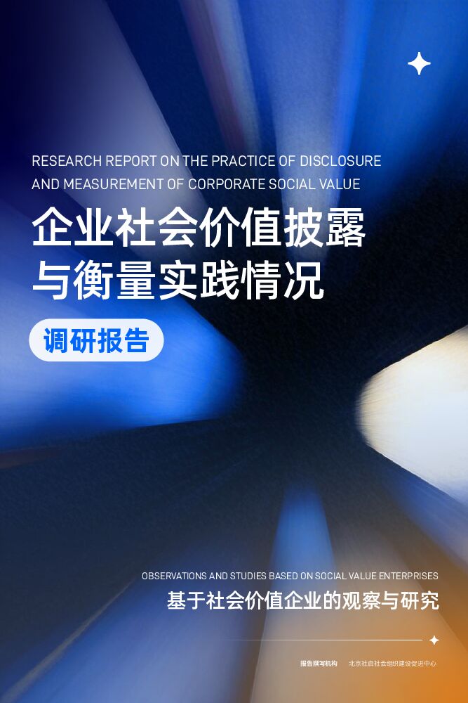 2026企业社会价值披露与衡量实践情况调研报告.pdf
