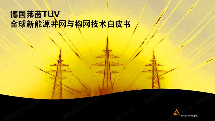 全球新能源并网与构网技术白皮书.pdf