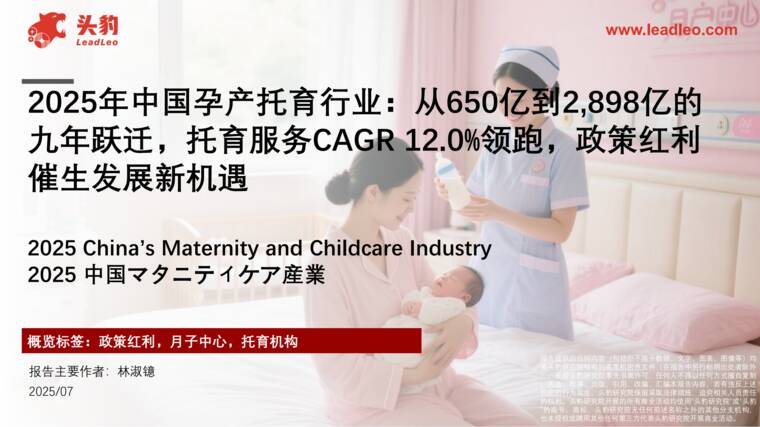 2025年中国孕产托育行业:从650亿到2,898亿的九年跃迁,托育服务CAGR12.0%领跑,政策红利催生发展新机遇-LeadLeo-202607.pdf 2025年中国孕产托育行业:从650亿到2,898亿的九年跃迁,托育服务CAGR12.0%领跑,政策红利催生发展新机遇-LeadLeo-202607.pdf